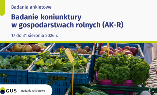 grafika promocyjna GUS