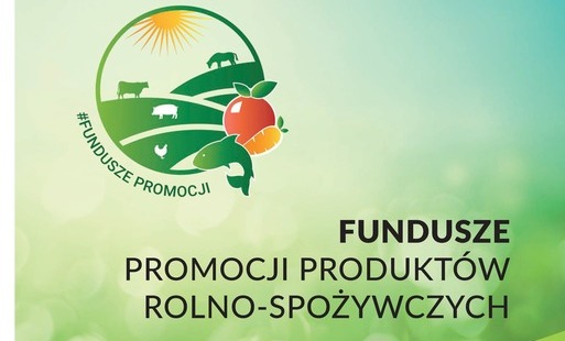 Zdjęcie artykułu z dnia 05-03-2026