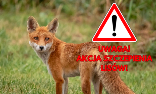 Zdjęcie artykułu z dnia 08-04-2026