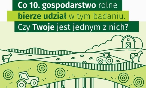 Zdjęcie artykułu z dnia 02-06-2026